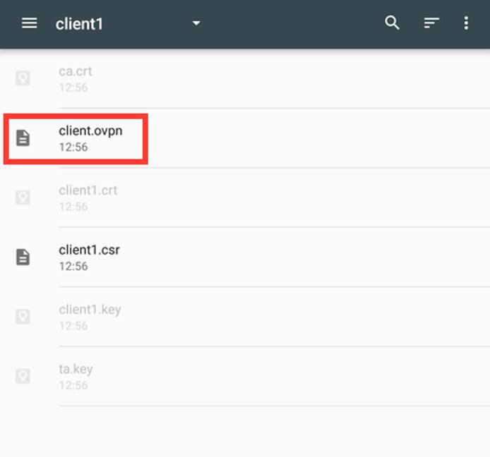 OpenVPN for Android file browser OpenVPN for Android file browser